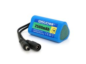 Акумуляторна батарея QiSuo 12V 2.5Ah Li-ion 18650 DC5.5x2.1